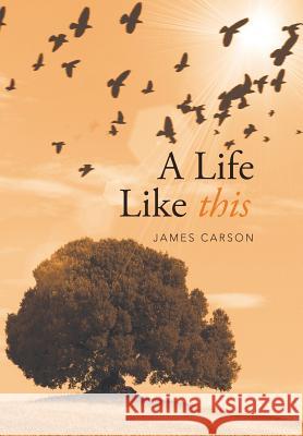 A Life Like This James Carson 9781514462522 Xlibris Corporation