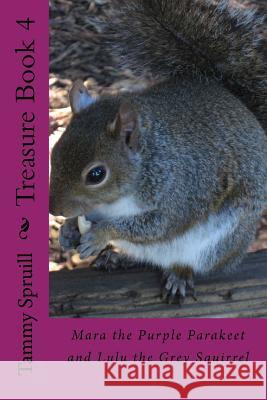 Treasure Book 4 Tammy Spruill 9781514635179 Createspace Independent Publishing Platform