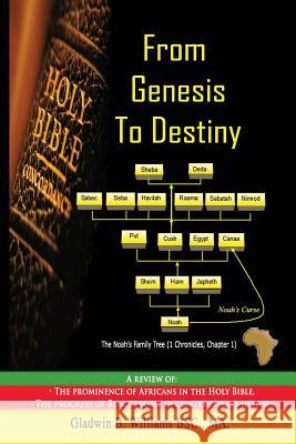 From Genesis To Destiny Williams, Gladwin B. 9781514662335 Createspace Independent Publishing Platform