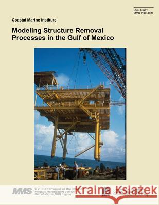 Modeling Structure Removal Processes in the Gulf of Mexico Dmitry V. Mesyanzhinov Allan G. Pulsipher Mark J. Kaiser 9781514672495 Createspace