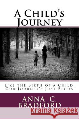 A Child's Journey: Like the Birth of a Child, Our Journey's Just Begun Anna C. Bradford 9781514694688 Createspace