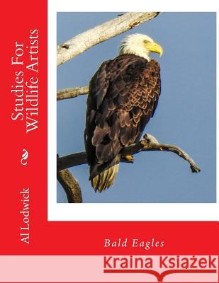 Bald Eagles: Studies For Wildlife Artists Lodwick, Al 9781514777602 Createspace