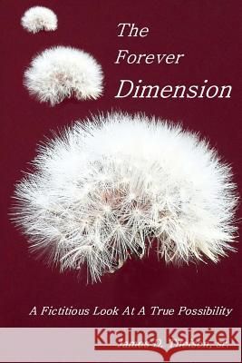 The Forever Dimension MR James D. Theise 9781514825303 Createspace