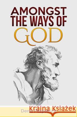 Amongst the Ways of God Denis Fitzpatrick 9781514826379 Createspace