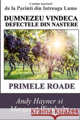 Dumnezeu Vindeca Defectele Din Nastere: Primele Roade Andy Hayner Margaret Weishuhn 9781514882092 Createspace