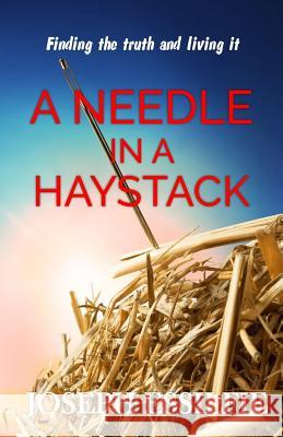 A Needle in a Haystack: Finding Faith and Living It Joseph Essilfie 9781515007210 Createspace Independent Publishing Platform