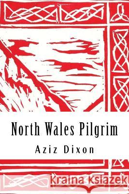 North Wales Pilgrim: A Poetic Journey: Reflections on a Pilgrimage from Holywell to Bardsey Aziz Dixon 9781515067375 