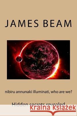 nibiru annunaki illuminati, who are we? Beam, James 9781515074724