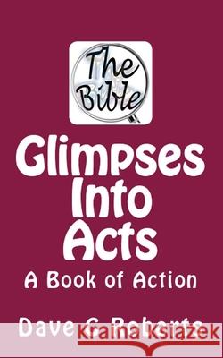 Glimpses Into Acts: A Book of Action Dave G. Roberts 9781515119227