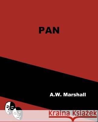 Pan A. W. Marshall Joseph Janeti Zhou Wenjing 9781515131137 Createspace