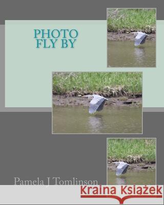 Photo Fly By Pamela J. Tomlinson 9781515233961 Createspace Independent Publishing Platform