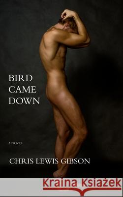 Bird Came Down Chris Lewis Gibson 9781515239284