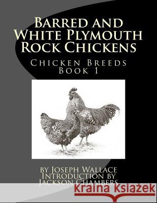 Barred and White Plymouth Rock Chickens Joseph Wallace Jackson Chambers 9781515244585 Createspace