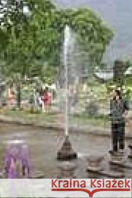 My Reflections: Current Events Sayid Ashraf Shah 9781515244998 Createspace