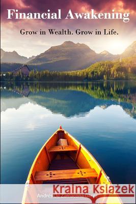 Financial Awakening Andres Ernesto D 9781515256434 Createspace