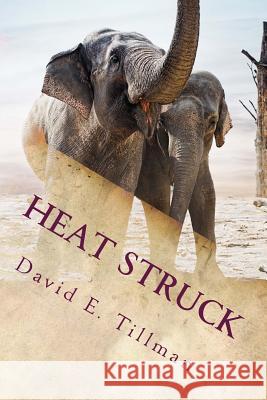 Heat Struck David E. Tillman 9781515260530