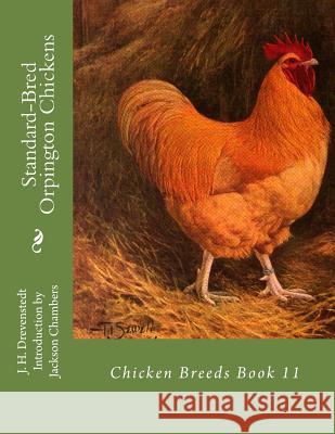 Standard-Bred Orpington Chickens: Chicken Breeds Book 11 J. H. Drevenstedt Jackson Chambers 9781515338482 Createspace