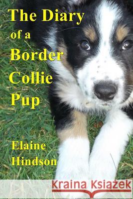 Diary of a Border Collie Pup Elaine Hindson Edd Hindson 9781515368472