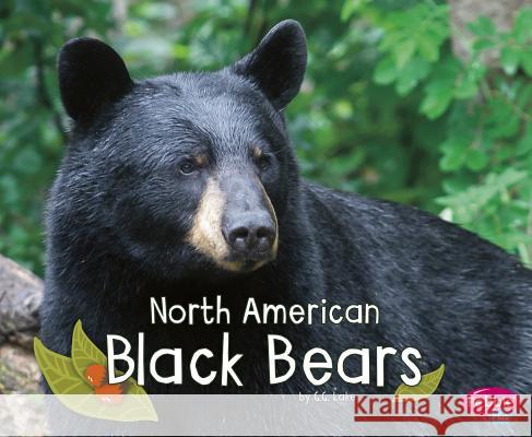 North American Black Bears G. G. Lake 9781515708148 Capstone Press