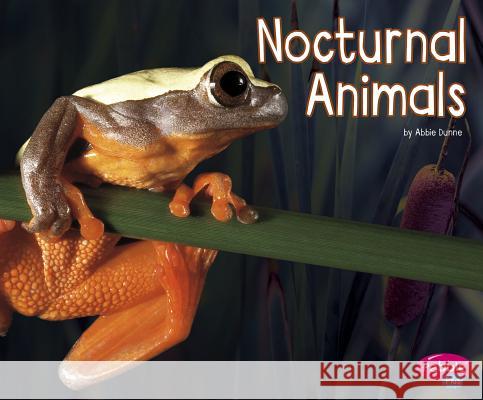Nocturnal Animals Abbie Dunne 9781515709466