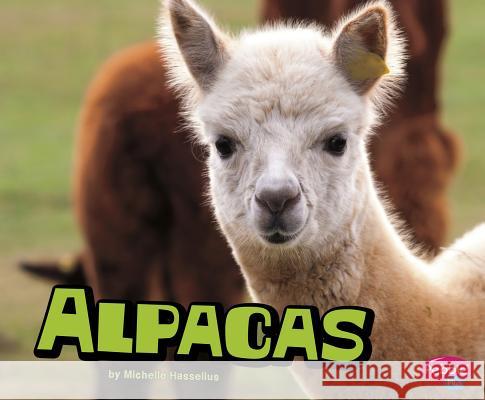 Alpacas Michelle M. Hasselius 9781515709633 Capstone Press