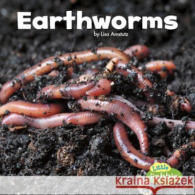 Earthworms Lisa J. Amstutz 9781515719427 Capstone Press