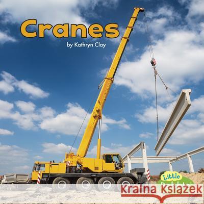 Cranes Kathryn Clay 9781515725336 Capstone Press