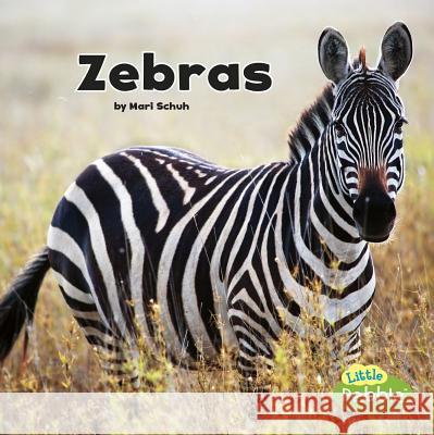 Zebras Mari Schuh 9781515733744 Capstone Press