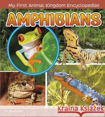 Amphibians Emma Carlson Berne 9781515739265 Capstone Press