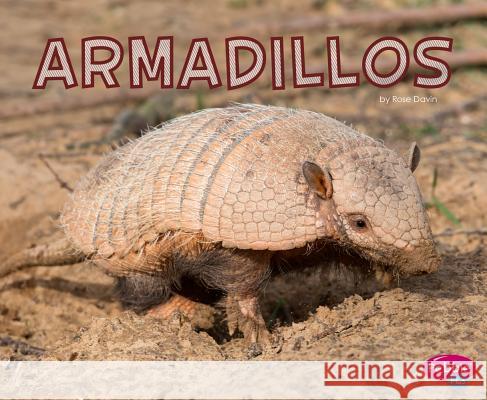 Armadillos Rose Davin 9781515746027 Capstone Press