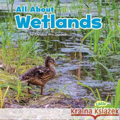 All about Wetlands Christina MIA Gardeski 9781515797678