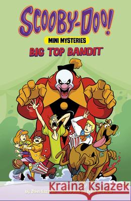 Big Top Bandit John Sazaklis Dario Brizuela 9781515883128 Picture Window Books