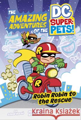 Robin Robin to the Rescue Steve Korte Art Baltazar 9781515883654 Picture Window Books