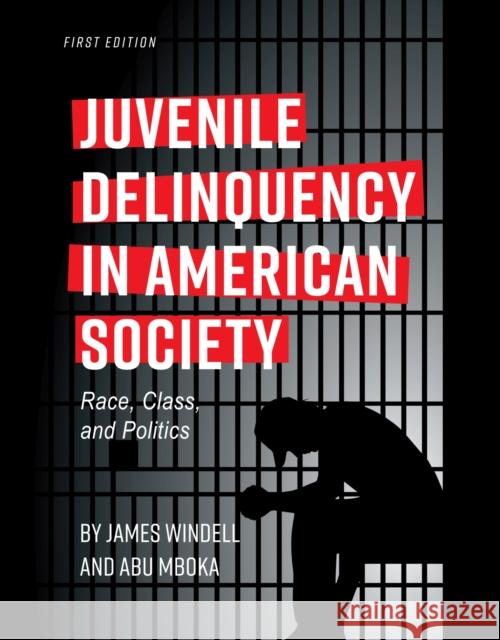 Juvenile Delinquency in American Society: Race, Class, and Politics James Windell Abu Mboka 9781516512911