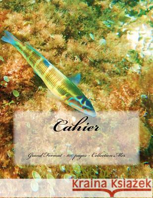 Cahier - Grand Format - 100 pages - Collection Mer: Design Original 6 Joly, Victoria 9781516850198 Createspace