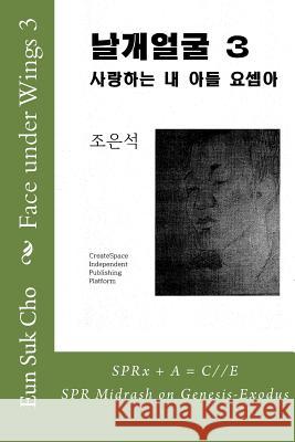 Face Under Wings 3 Eun Suk Cho 9781516858606 Createspace