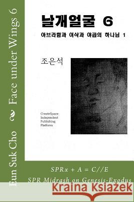 Face Under Wings 6 Eun Suk Cho 9781516863303 Createspace