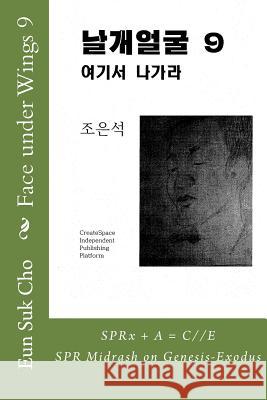 Face Under Wings 9 Eun Suk Cho 9781516863921 Createspace