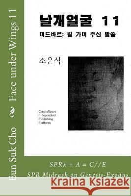 Face Under Wings 11 Eun Suk Cho 9781516864331 Createspace