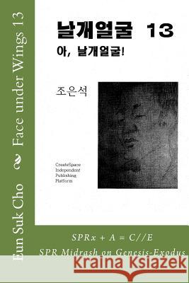 Face Under Wings 13 Eun Suk Cho 9781516864690 Createspace