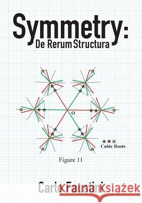 Symmetry: De Rerum Structura Faustini, Carlo 9781516876938 Createspace Independent Publishing Platform