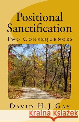 Positional Sanctification: Two Consequences David H. J. Gay 9781516898442 Createspace