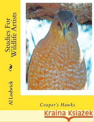 Cooper's Hawks: Studies For Wildlife Artists Lodwick, Al 9781516909865 Createspace
