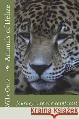 Animals of Belize MR Willie Ortiz 9781516988815 Createspace