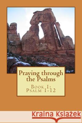 Praying through the Psalms: Book 1: Psalm 1-8 Knotts Jr, Tom 9781516998463