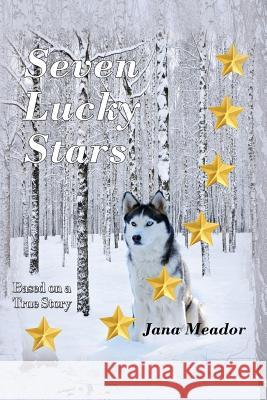 Seven Lucky Stars Jana Meador Rob Bignell Authorlink 9781517029081 Createspace