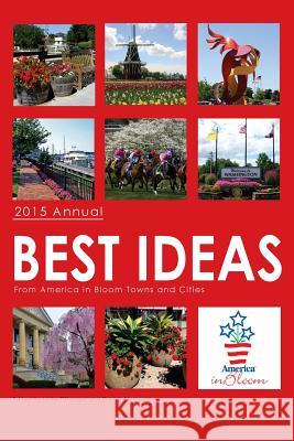 Best Ideas Annual 2015 Leslie Pittenger Evelyn Alemanni 9781517030506 Createspace