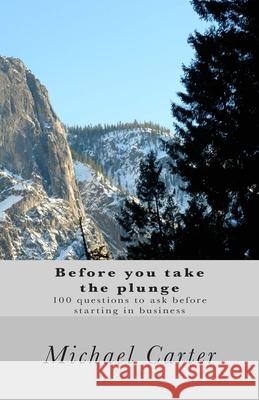 Before you take the plunge: 100 questions to ask before starting in business Carter, Michael 9781517101817