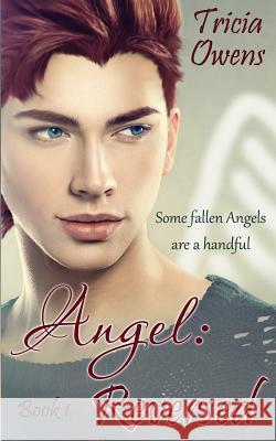 Angel: Reversed Tricia Owens 9781517231538 Createspace