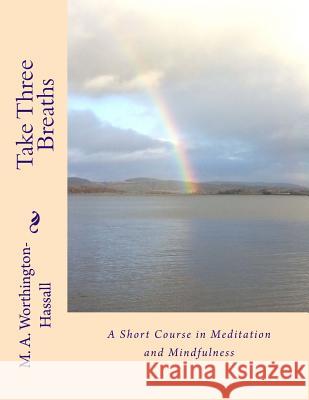 Take Three Breaths: A Short Course in Meditation and Mindfulness MR M. a. Worthington-Hassall MS C. Mandy 9781517237691 Createspace